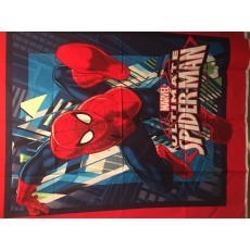 Ultimate Spiderman
